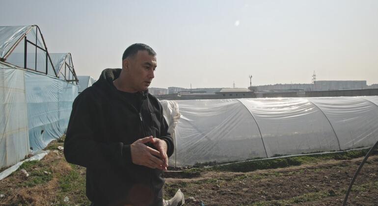 Побывав в Великобритании, Рустам решил изменить свой подход к выращиванию клубники.